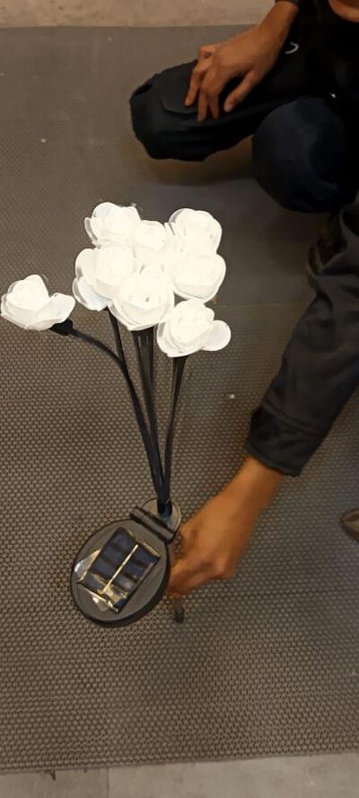 3 mm 6 sticks rose solar garden light